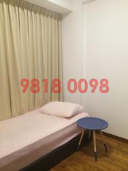 haig-162 photo thumbnail #12